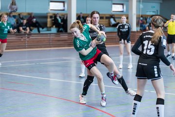 Bild 191 - F HSG Kre/Mue - HFF Munkbrarup : Ergebnis: 49:20